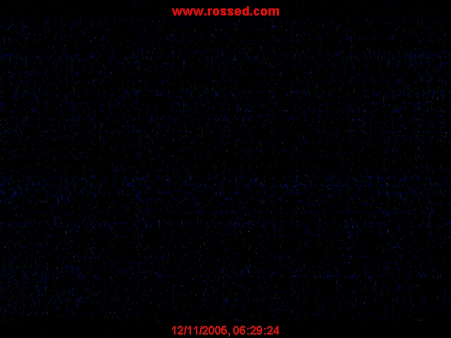 Ross Olson Webcam