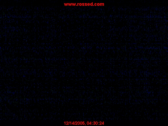 Ross Olson Webcam